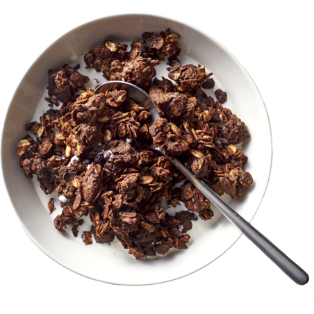 GRANOLA CHOCO 400 g