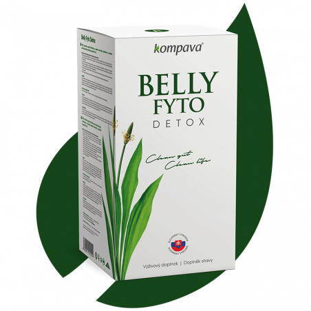 BELLY FYTO DETOX 400 g